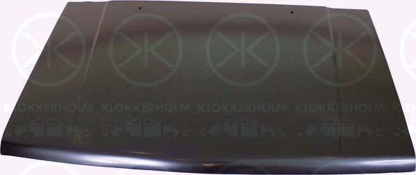Klokkerholm 3781280 Motorhaube 3781280: Kaufen Sie zu einem guten Preis in Polen bei 2407.PL!
