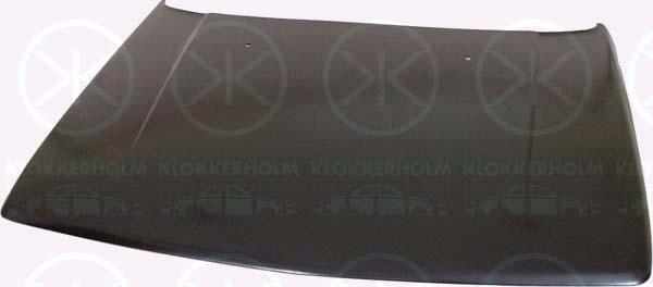 Klokkerholm 3707281 Pokrywa komory silnika 3707281: Dobra cena w Polsce na 2407.PL - Kup Teraz!