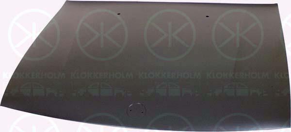 Klokkerholm 5076280 Motorhaube 5076280: Kaufen Sie zu einem guten Preis in Polen bei 2407.PL!