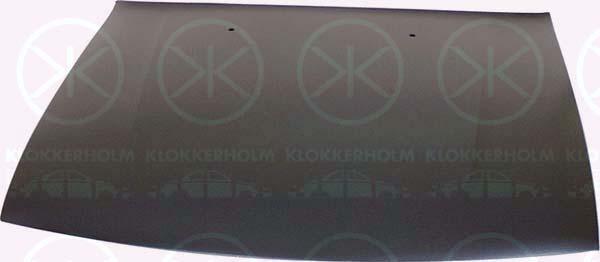 Klokkerholm 5076281 Motorhaube 5076281: Kaufen Sie zu einem guten Preis in Polen bei 2407.PL!