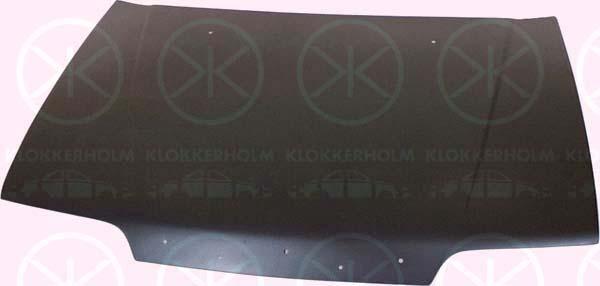 Klokkerholm 6408281 Pokrywa komory silnika 6408281: Dobra cena w Polsce na 2407.PL - Kup Teraz!