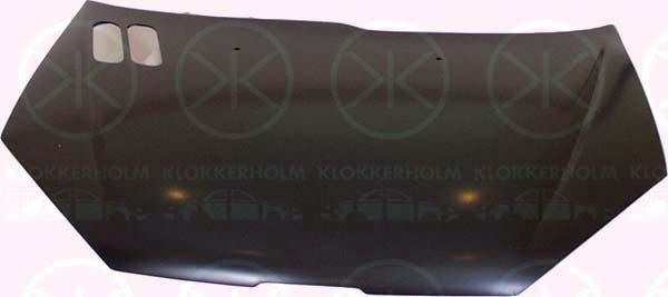 Klokkerholm 5507280 Капот 5507280: Отличная цена - Купить в Польше на 2407.PL!