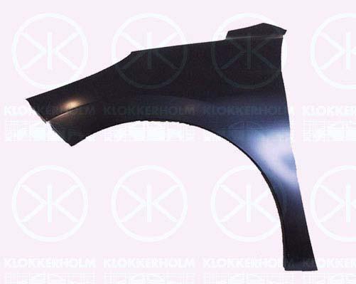 Klokkerholm 5508311A1 Front fender left 5508311A1: Buy near me in Poland at 2407.PL - Good price!