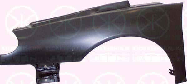 Klokkerholm 6049311 Front fender left 6049311: Buy near me in Poland at 2407.PL - Good price!