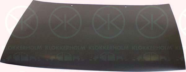 Klokkerholm 6615280 Motorhaube 6615280: Kaufen Sie zu einem guten Preis in Polen bei 2407.PL!