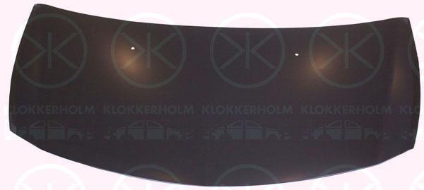 Klokkerholm 6033281A1 Hood 6033281A1: Buy near me at 2407.PL in Poland at an Affordable price!