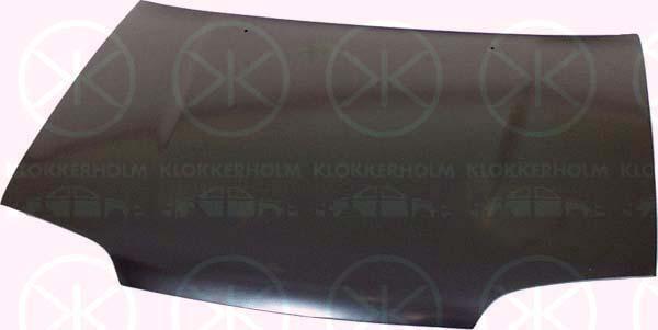 Klokkerholm 6811280 Капот 6811280: Отличная цена - Купить в Польше на 2407.PL!