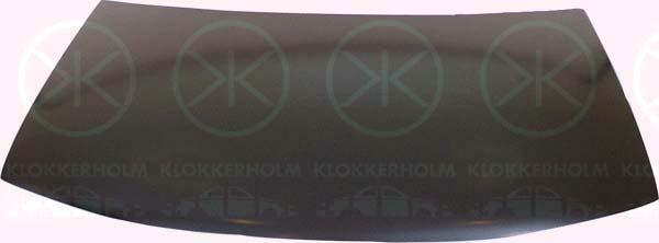Klokkerholm 2595 280 Motorhaube 2595280: Kaufen Sie zu einem guten Preis in Polen bei 2407.PL!
