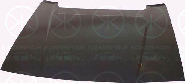 Klokkerholm 2914 280 Motorhaube 2914280: Kaufen Sie zu einem guten Preis in Polen bei 2407.PL!