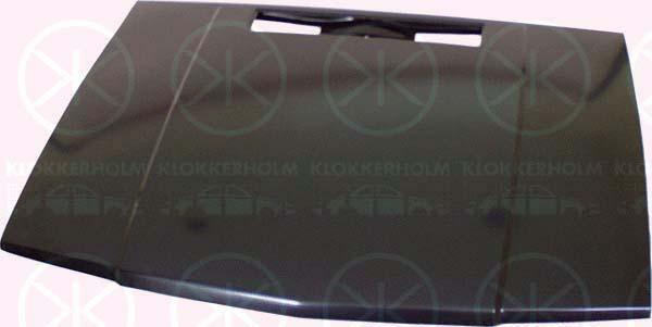 Klokkerholm 9005281 Hood 9005281: Buy near me in Poland at 2407.PL - Good price!