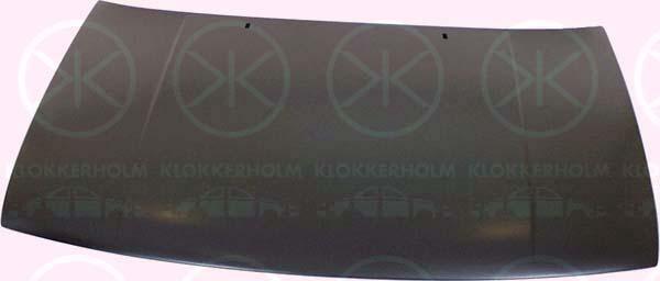 Klokkerholm 9542280 Motorhaube 9542280: Kaufen Sie zu einem guten Preis in Polen bei 2407.PL!