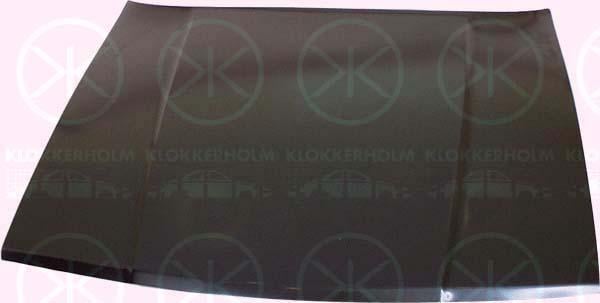 Klokkerholm 9007280A1 Motorhaube 9007280A1: Bestellen Sie in Polen zu einem guten Preis bei 2407.PL!