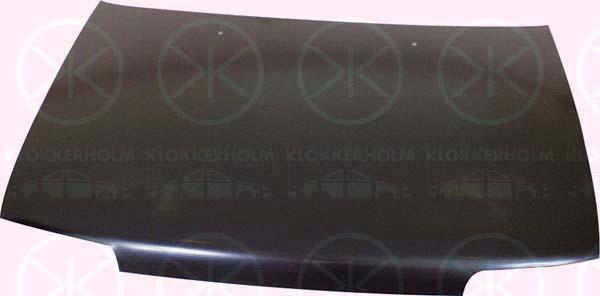 Klokkerholm 1222280A1 Motorhaube 1222280A1: Kaufen Sie zu einem guten Preis in Polen bei 2407.PL!