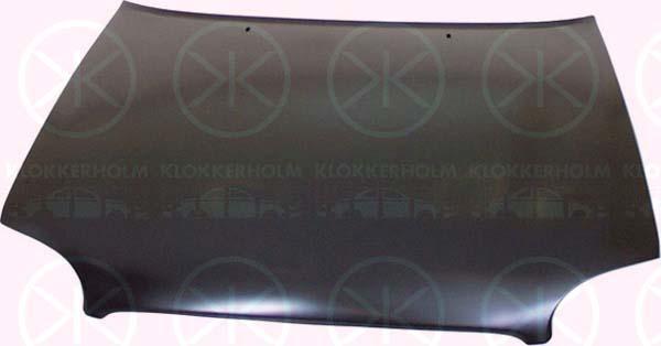 Klokkerholm 2530282 Motorhaube 2530282: Kaufen Sie zu einem guten Preis in Polen bei 2407.PL!