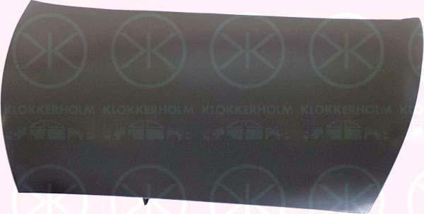 Klokkerholm 2505280A1 Капот 2505280A1: Отличная цена - Купить в Польше на 2407.PL!