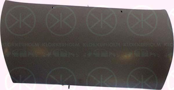 Klokkerholm 2505281 Motorhaube 2505281: Kaufen Sie zu einem guten Preis in Polen bei 2407.PL!