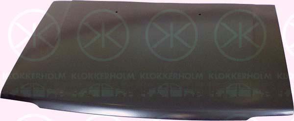 Klokkerholm 1604283 Капот 1604283: Купить в Польше - Отличная цена на 2407.PL!