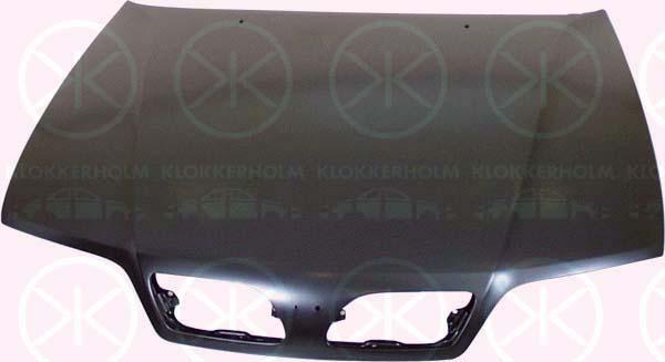 Klokkerholm 1668280A1 Motorhaube 1668280A1: Kaufen Sie zu einem guten Preis in Polen bei 2407.PL!