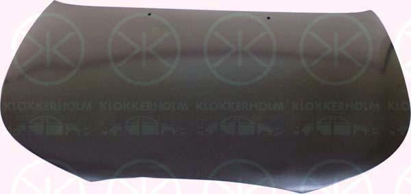 Klokkerholm 2554280 Motorhaube 2554280: Kaufen Sie zu einem guten Preis in Polen bei 2407.PL!