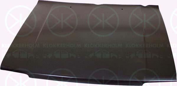 Klokkerholm 9536280 Motorhaube 9536280: Kaufen Sie zu einem guten Preis in Polen bei 2407.PL!
