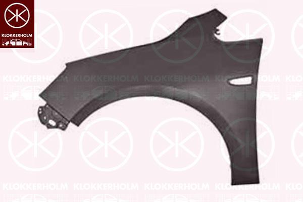 Klokkerholm 5053311A1 Front fender left 5053311A1: Buy near me in Poland at 2407.PL - Good price!