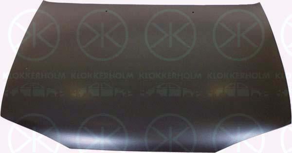 Klokkerholm 3161280 Капот 3161280: Отличная цена - Купить в Польше на 2407.PL!