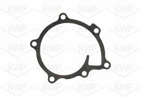 Kwp 101171 Water pump 101171: Buy near me at 2407.PL in Poland at an Affordable price!