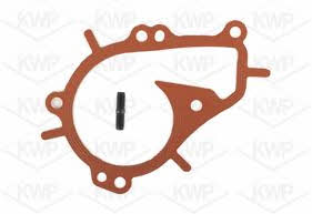 Kwp 101239 Water pump 101239: Buy near me in Poland at 2407.PL - Good price!