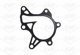 Kwp 101132 Water pump 101132: Buy near me in Poland at 2407.PL - Good price!