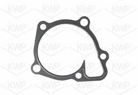 Kwp 101135 Water pump 101135: Buy near me in Poland at 2407.PL - Good price!