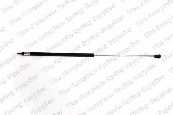 Lesjofors 8004205 Gas hood spring 8004205: Buy near me in Poland at 2407.PL - Good price!