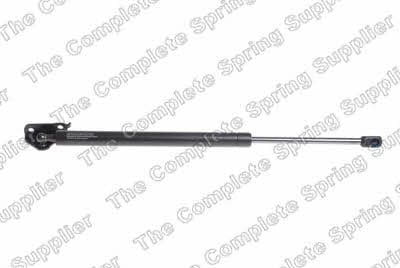 Lesjofors 8142113 Gas Spring, boot-/cargo area 8142113: Buy near me in Poland at 2407.PL - Good price!