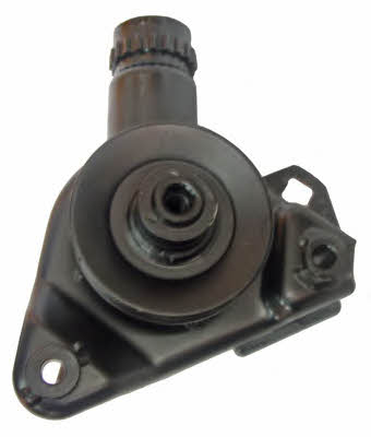 Lizarte 04.43.0100 Hydraulic Pump, steering system 04430100: Buy near me in Poland at 2407.PL - Good price!