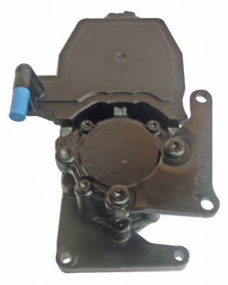 Lizarte 04.52.0087 Hydraulic Pump, steering system 04520087: Buy near me in Poland at 2407.PL - Good price!