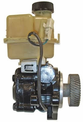 Lizarte 04.94.0365 Hydraulic Pump, steering system 04940365: Buy near me in Poland at 2407.PL - Good price!