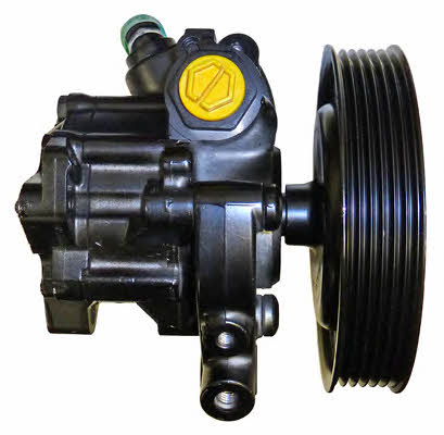 Lizarte 04.13.0039-1 Hydraulic Pump, steering system 041300391: Buy near me in Poland at 2407.PL - Good price!