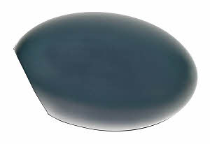 Loro 2501C02 Cover side mirror 2501C02: Buy near me in Poland at 2407.PL - Good price!