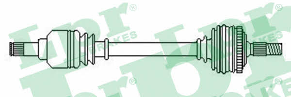 LPR DS52450 Drive shaft DS52450: Buy near me in Poland at 2407.PL - Good price!