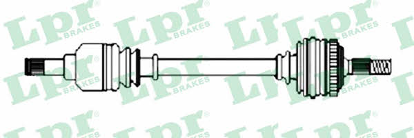 LPR DS21134 Drive shaft DS21134: Buy near me in Poland at 2407.PL - Good price!