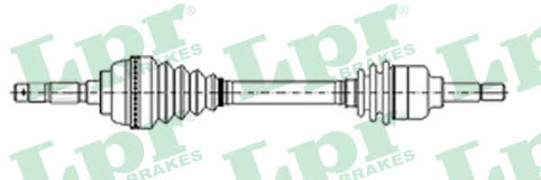 LPR DS29004 Drive shaft DS29004: Buy near me in Poland at 2407.PL - Good price!