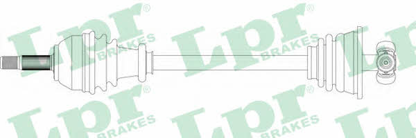 LPR DS39061 Drive shaft DS39061: Buy near me at 2407.PL in Poland at an Affordable price!