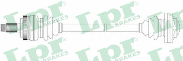 LPR DS15019 Drive shaft DS15019: Buy near me in Poland at 2407.PL - Good price!