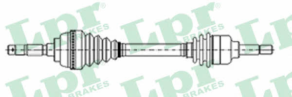 LPR DS21049 Drive shaft DS21049: Buy near me in Poland at 2407.PL - Good price!