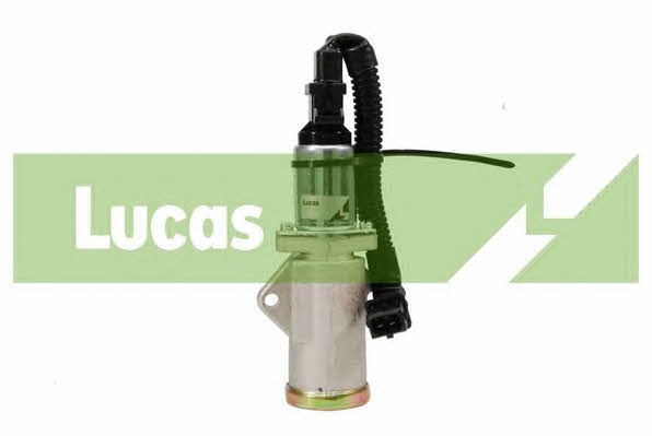 Lucas Electrical FDB1503 Regulator prędkości obrotowej biegu jałowego FDB1503: Dobra cena w Polsce na 2407.PL - Kup Teraz!