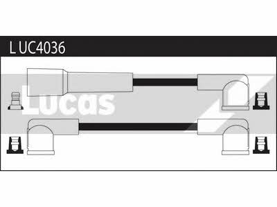 Lucas Electrical LUC4036 Провода высоковольтные, комплект LUC4036: Отличная цена - Купить в Польше на 2407.PL!