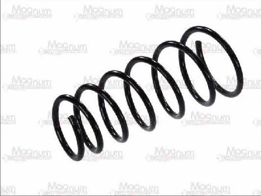 Magnum technology SG119MT Coil Spring SG119MT: Buy near me in Poland at 2407.PL - Good price!