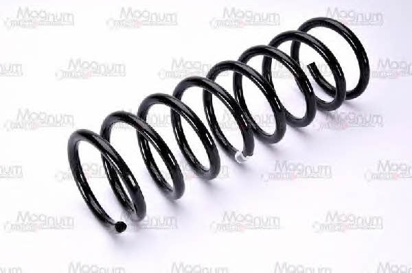 Magnum technology SG123MT Coil Spring SG123MT: Buy near me in Poland at 2407.PL - Good price!