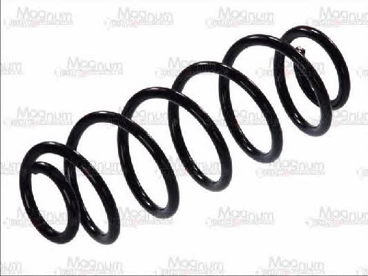 Magnum technology ST042MT Coil Spring ST042MT: Buy near me in Poland at 2407.PL - Good price!
