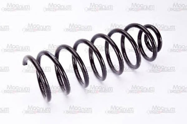 Magnum technology SW050MT Coil Spring SW050MT: Buy near me at 2407.PL in Poland at an Affordable price!
