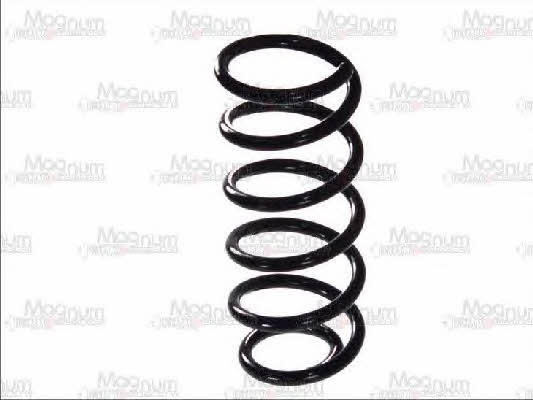 Magnum technology SW113MT Coil Spring SW113MT: Buy near me in Poland at 2407.PL - Good price!
